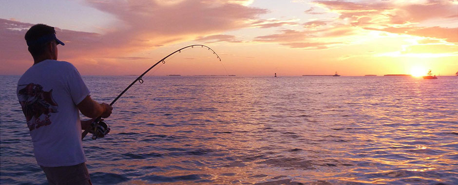 Fishing Charters in WA | Albacore Tuna, Halibut, Salmon, Lingcod, Rockfish, Steelhead, Tarpon