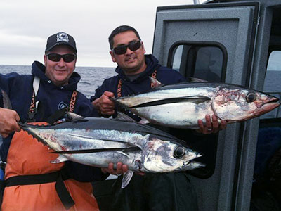 Albacore Tuna in Westport, WA