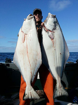 Halibut in La Push and Neah Bay, WA